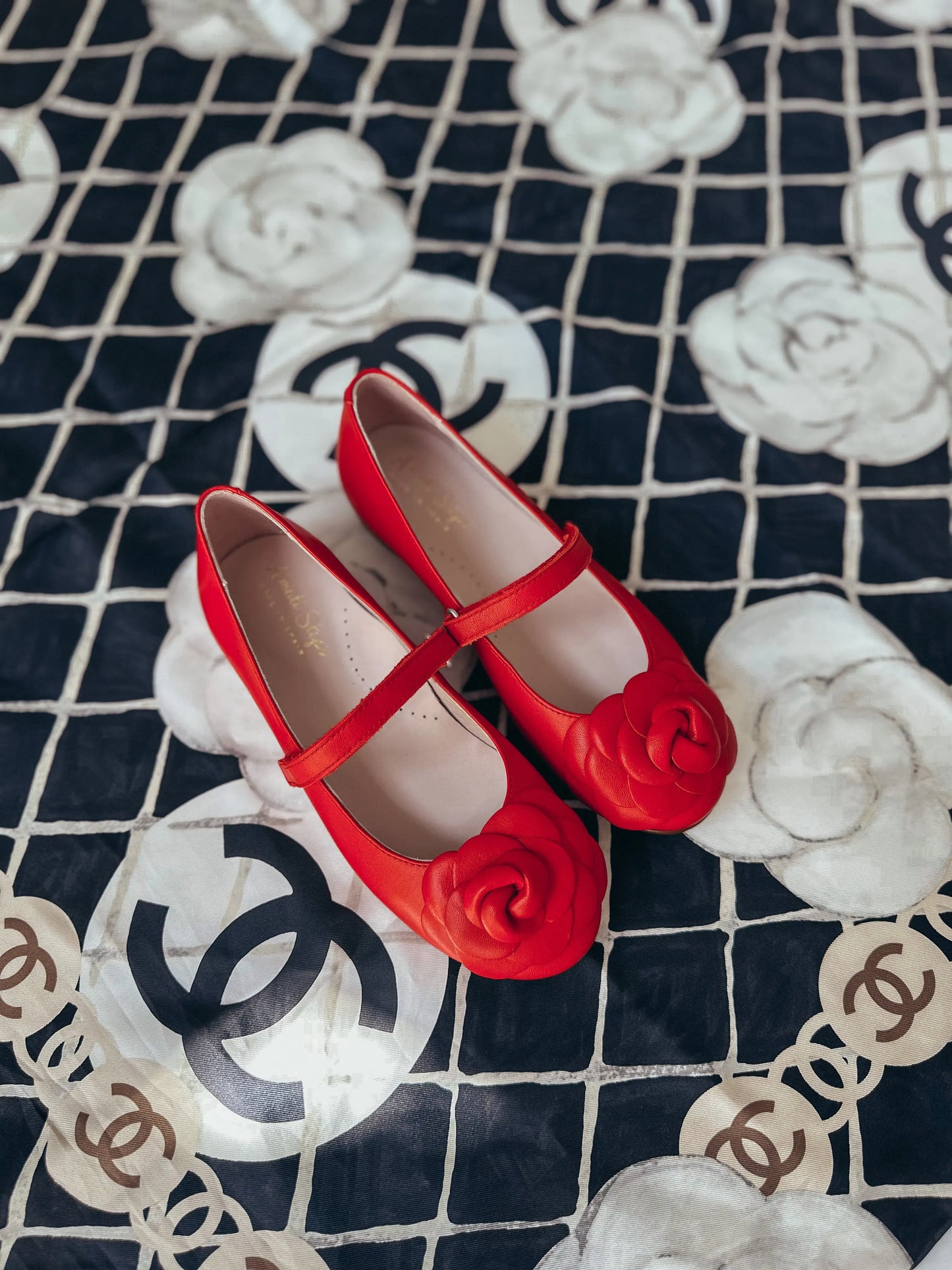Camille- Red Leather Mary Jane Shoes - Amati Steps