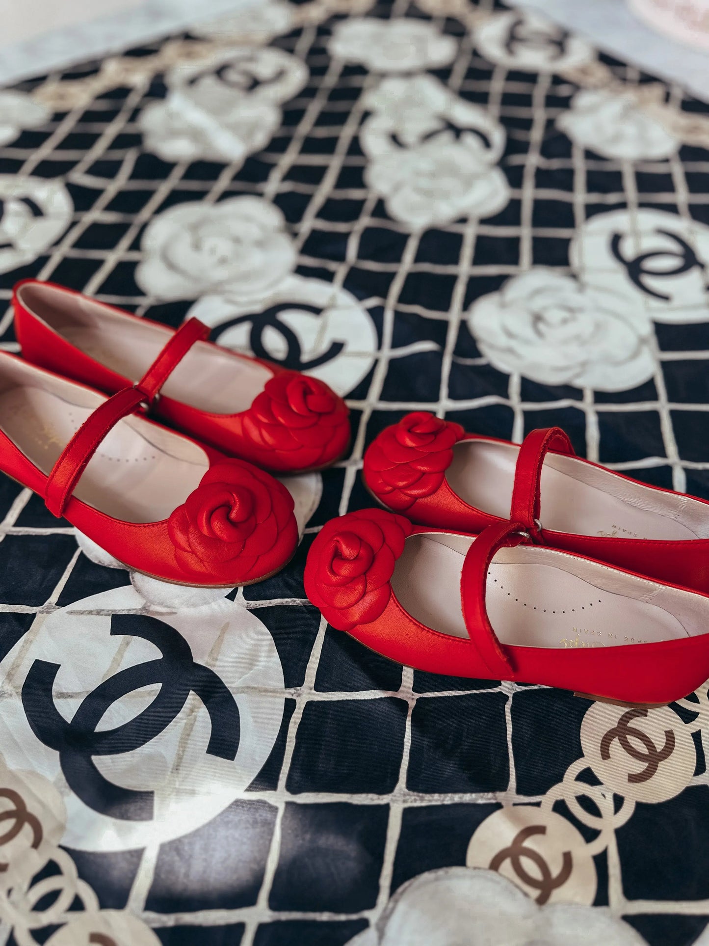 Camille- Red Leather Mary Jane Shoes - Amati Steps